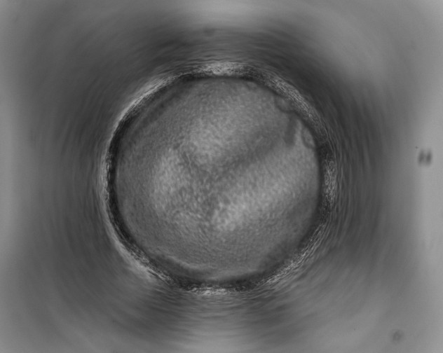 X0000099990730200806131434