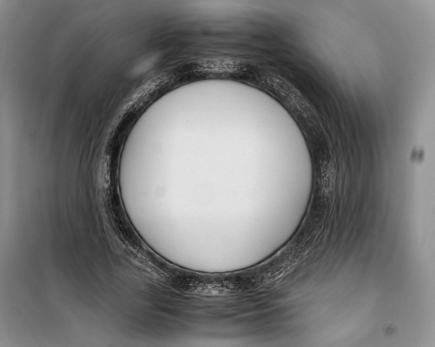 X0000099990731200806131434