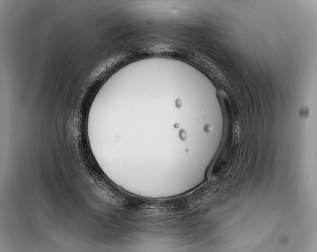 X0000099990732200806131434