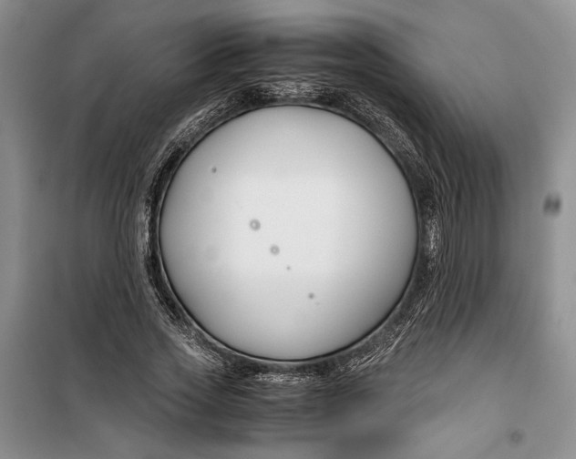 X0000099990733200806131434