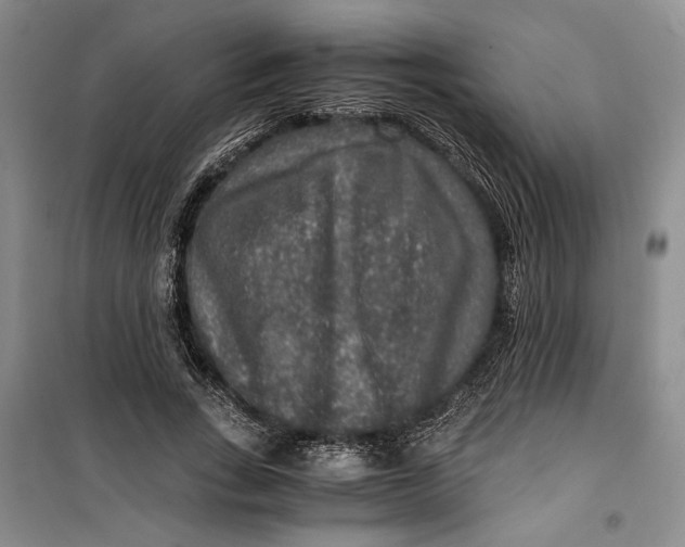 X0000099990735200806131434