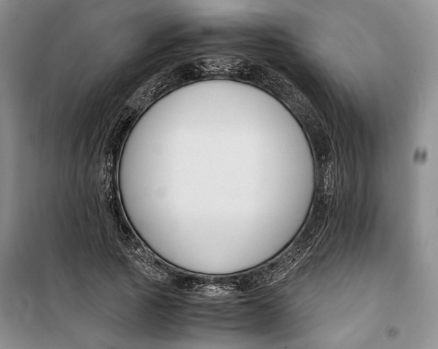 X0000099990737200806131434