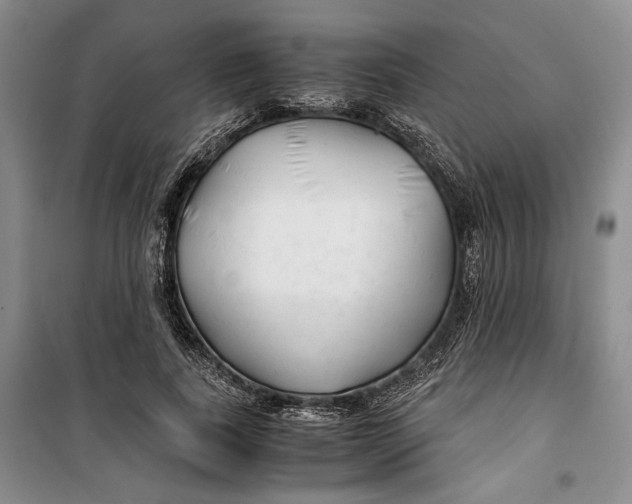 X0000099990739200806131434