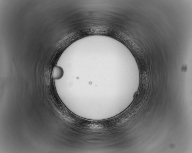 X0000099990741200806131434