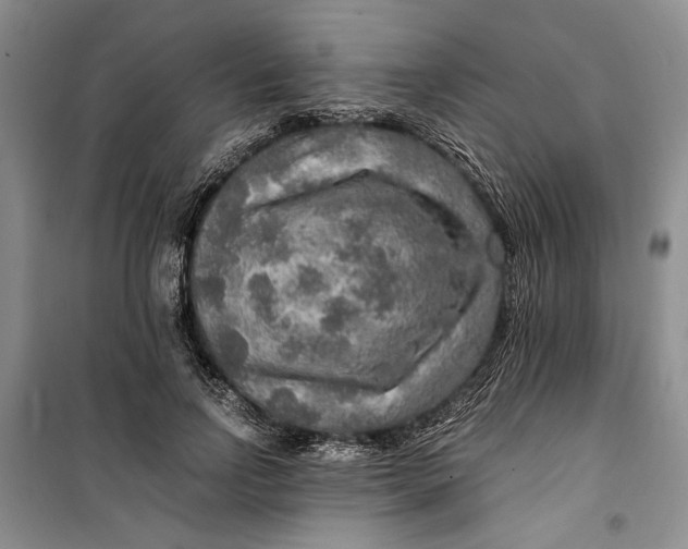 X0000099990742200806131434