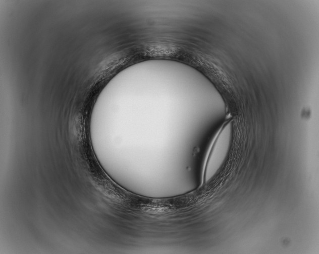 X0000099990743200806131434