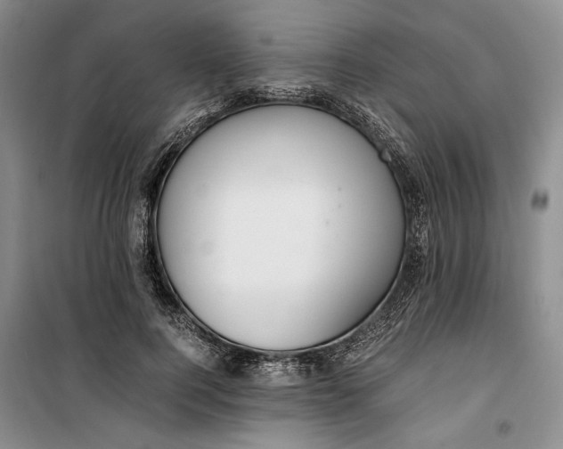 X0000099990744200806131434