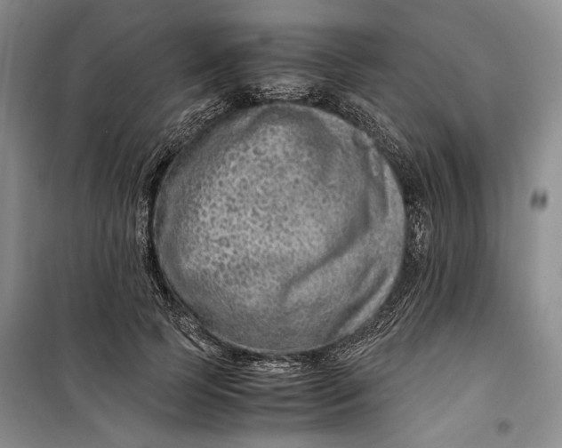 X0000099990745200806131434