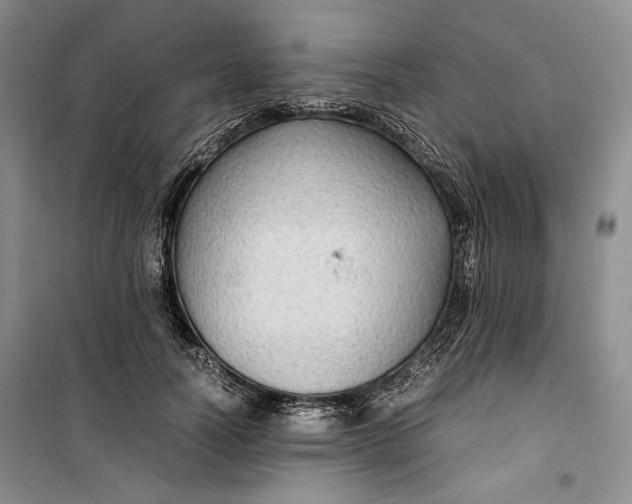 X0000099990746200806131434