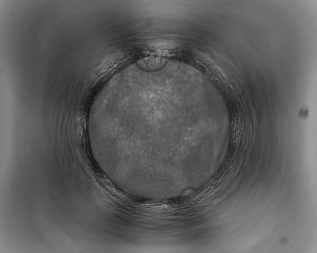 X0000099990747200806131434