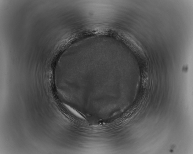 X0000099990748200806131434