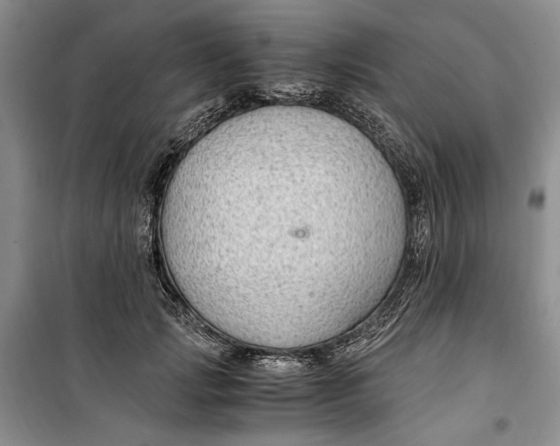 X0000099990749200806131434