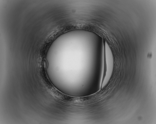 X0000099990750200806131434