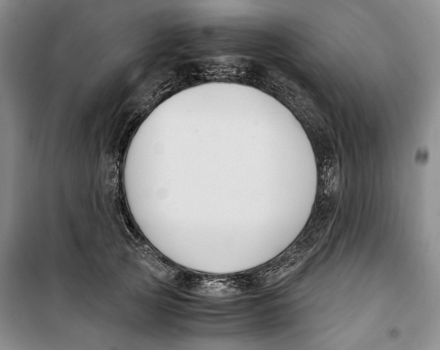 X0000099990753200806131434