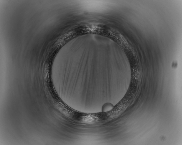 X0000099990754200806131434