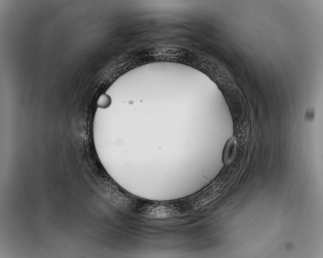 X0000099990755200806131434