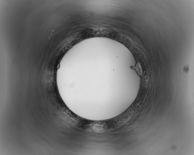 X0000099990756200806131434