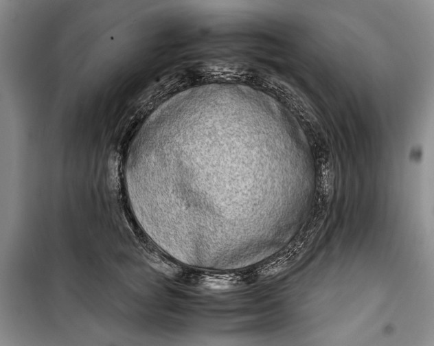 X0000099990757200806131434