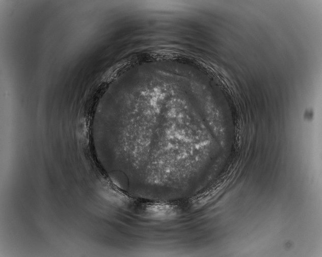 X0000099990759200806131434