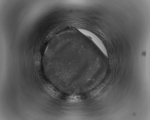 X0000099990760200806131434