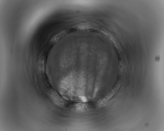 X0000099990762200806131434