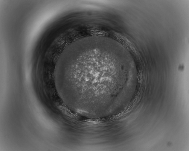 X0000099990763200806131434