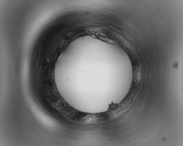 X0000099990764200806131435