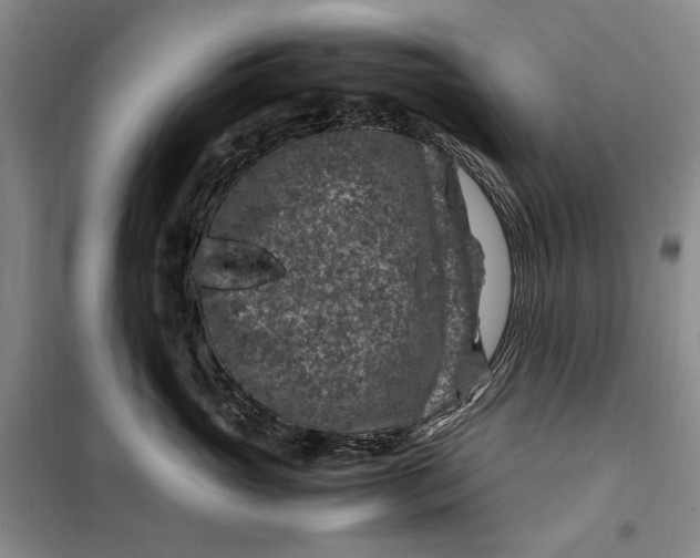 X0000099990765200806131435