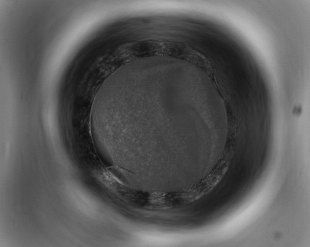 X0000099990766200806131435