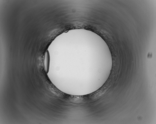 X0000099990768200806131435