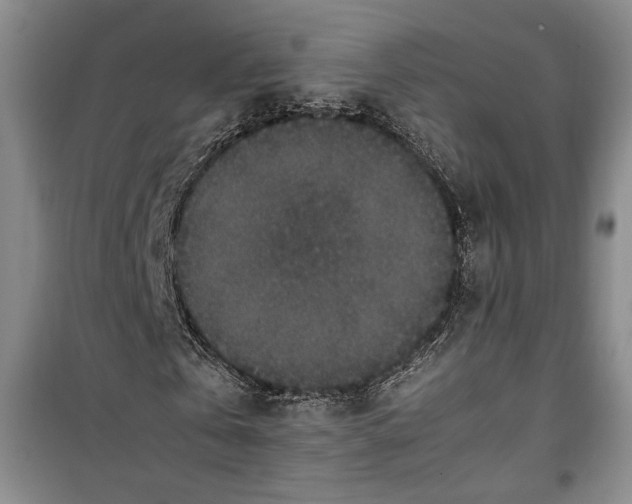 X0000099990769200806131434