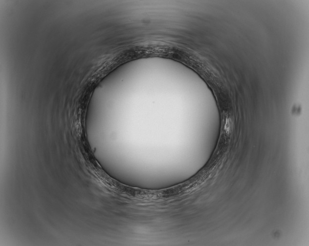 X0000099990771200806131434