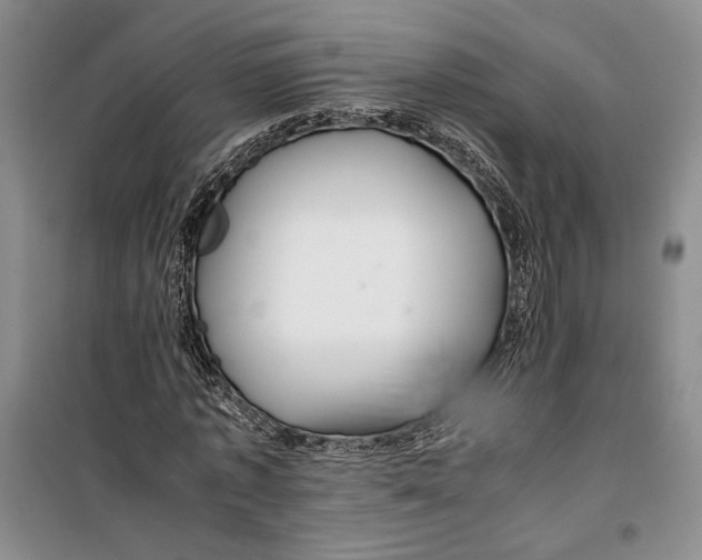 X0000099990773200806131434