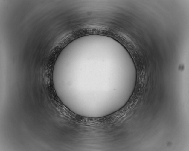 X0000099990774200806131434