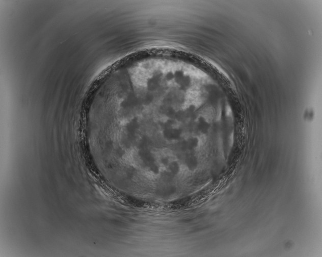 X0000099990775200806131434