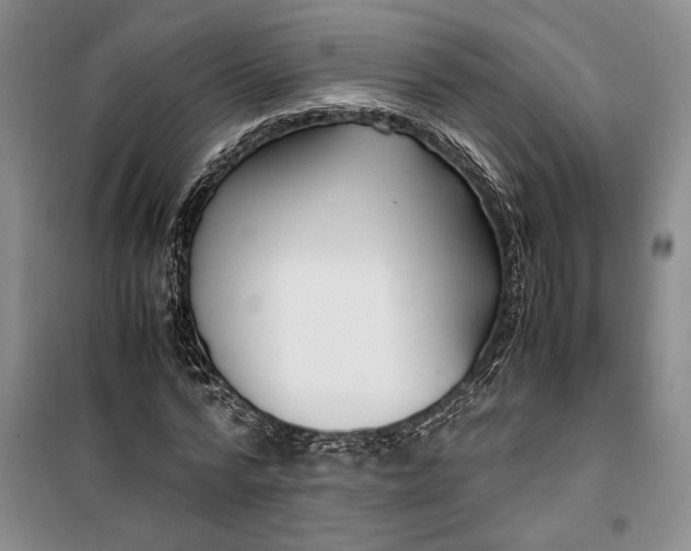 X0000099990776200806131434