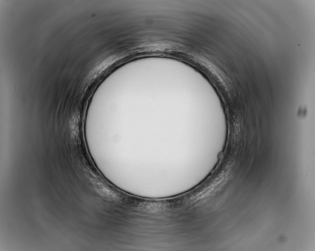 X0000099990778200806131434