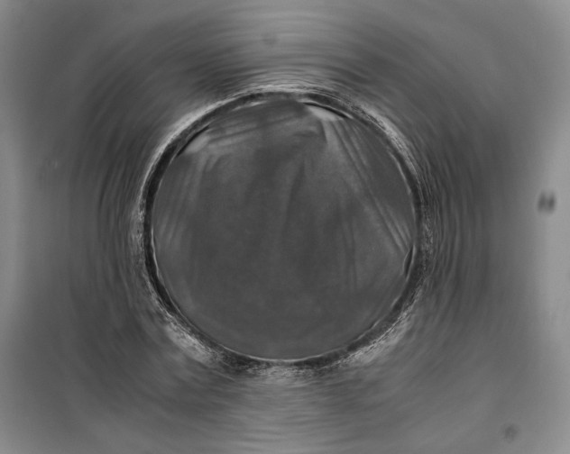 X0000099990779200806131434