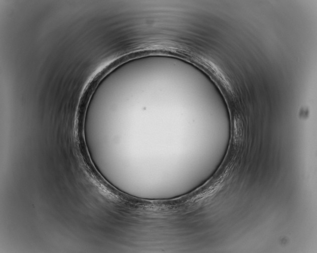 X0000099990780200806131434