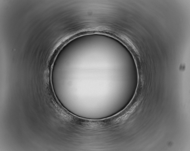 X0000099990781200806131434