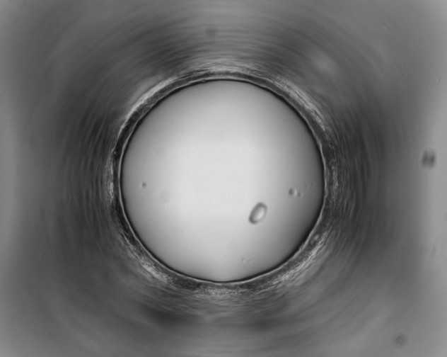 X0000099990782200806131433