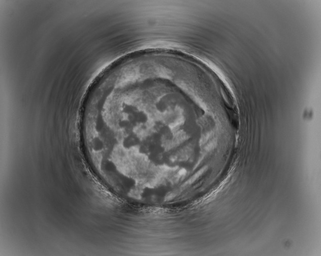 X0000099990783200806131433