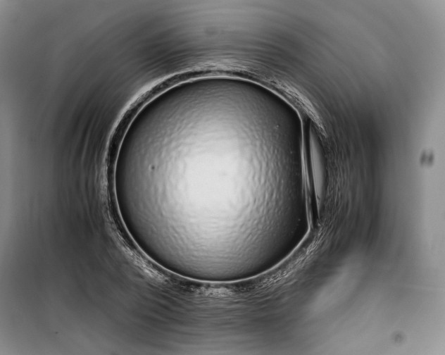 X0000099990784200806131433