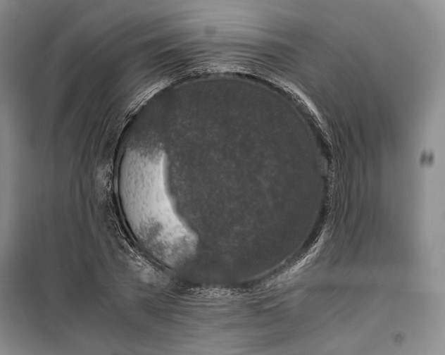 X0000099990785200806131433