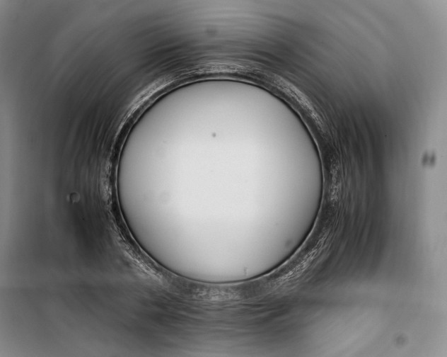 X0000099990786200806131433