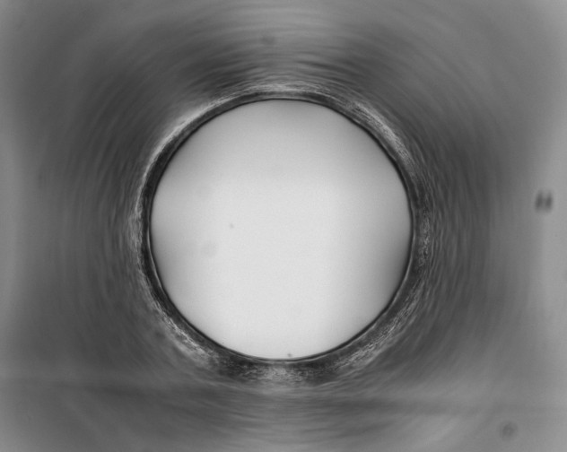 X0000099990787200806131433