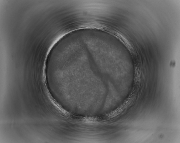 X0000099990788200806131433