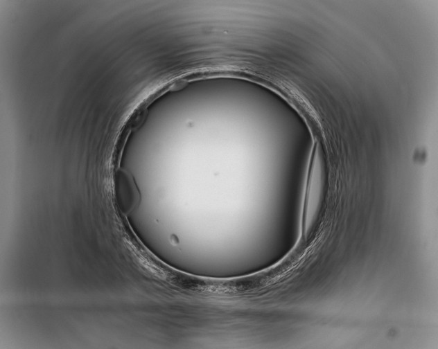 X0000099990789200806131433