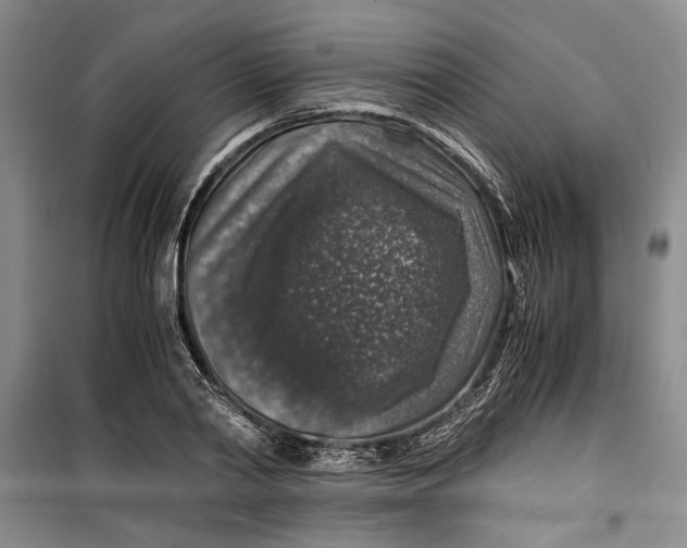 X0000099990790200806131433