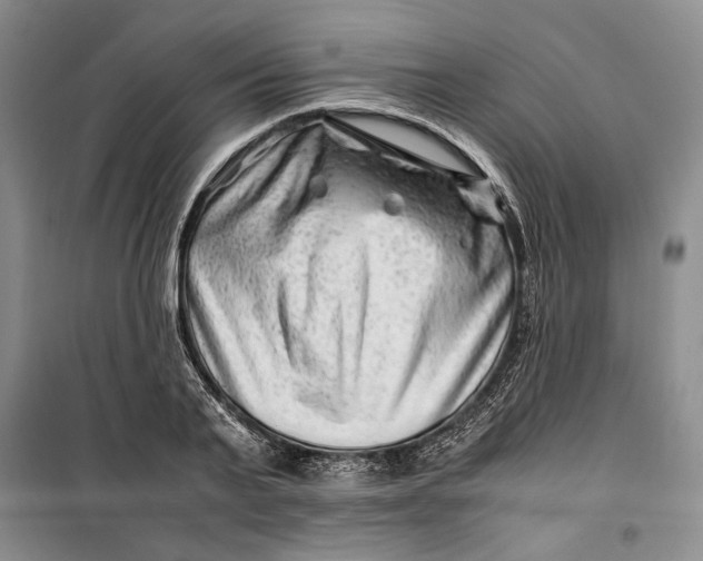 X0000099990791200806131433